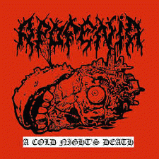 A Cold Night's Death